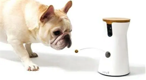 安信可科技Rd-01雷达模组在宠物自动喂食/水器的应用