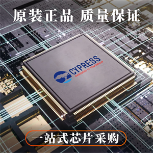 CYPRESS赛普拉斯CY8C5868AXI-LP035单片机的中文参数、应用领域和功能特点
