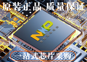 NXP恩智浦SGTL5000XNLA3R2音频接口芯片的中文参数、应用领域和功能特点